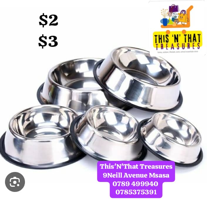 Dog Bowl