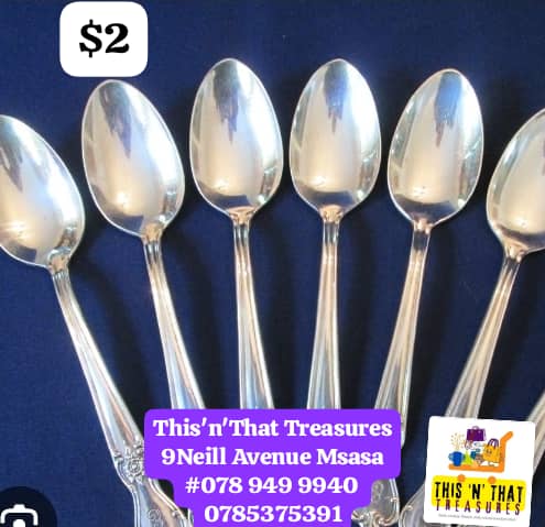 6 Stainless Steel Tea Spoon Set
