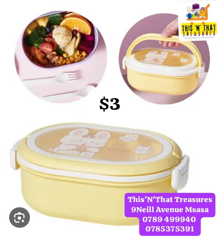 Food Warmer Lunchbox